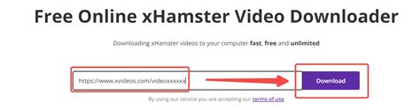 download videos from xhamster